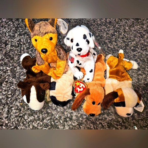 Ty Other - Vintage Ty Beanie Baby Lot - BNWTS Dog Lot of 6